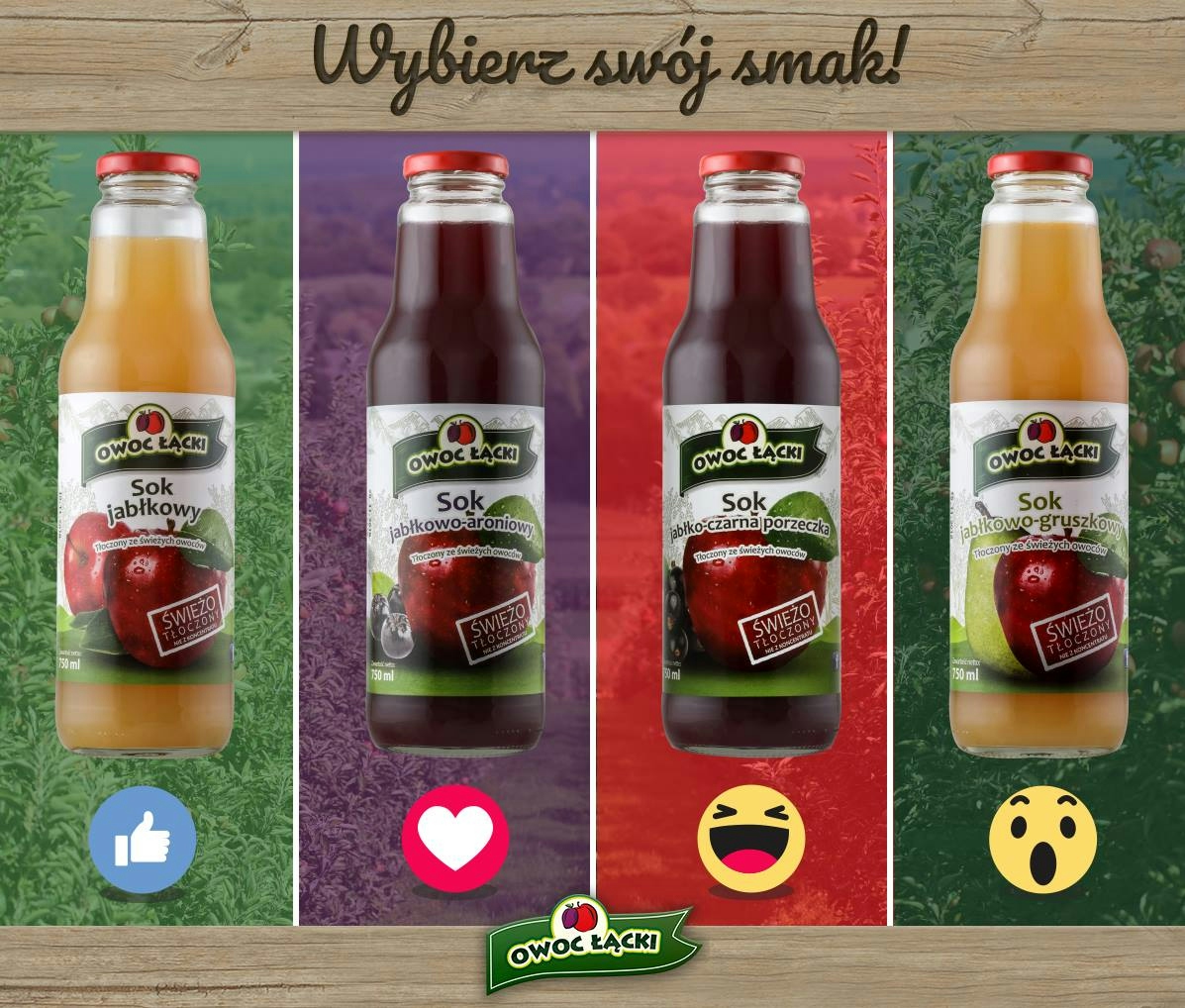 social media facebook instagram owoc łącki grafika sok owocowy owoce12